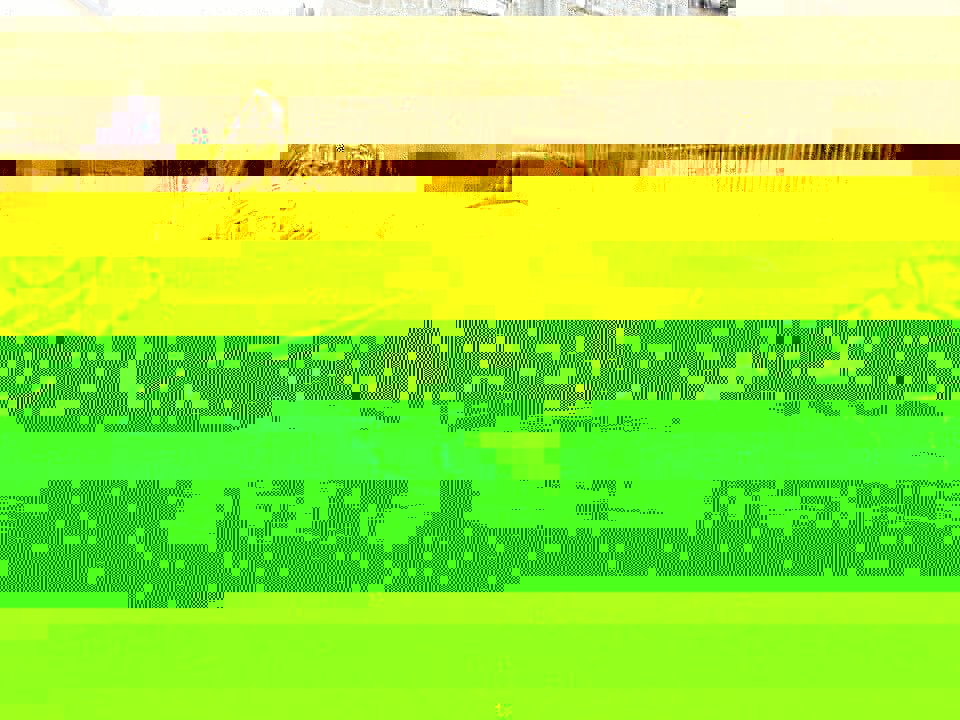 10390021_10202678920165369_3216572545248716802_n.jpg